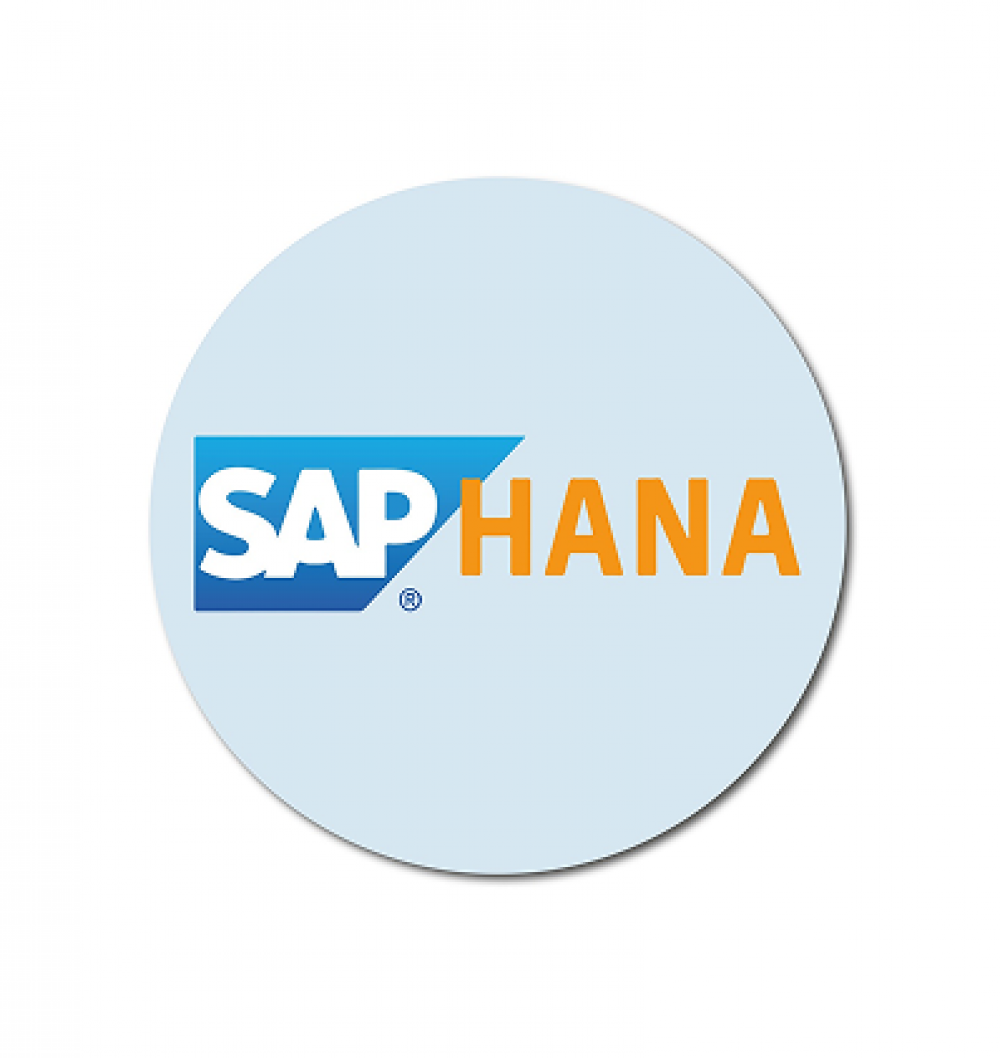 Unlocking Deeper Insights: Combine the power of Power BI with your SAP